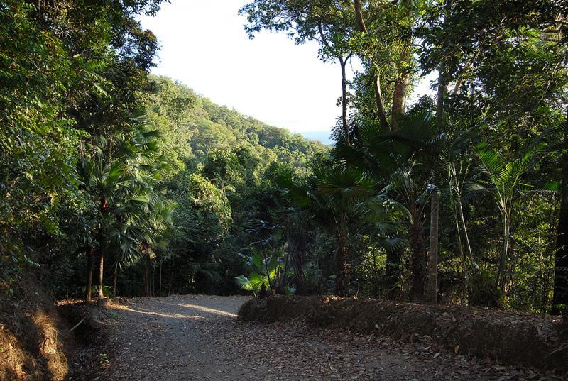 Villa Cloud 9 Daintree Exterior foto